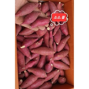 알뜰농장 꿀 밤 햇고구마 소소 쫄 한입크기 고당도 상품(가장작은크기) 5~10kg 내외, (소소 쫄) 5kg내외, 1박스