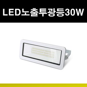 데이온 LED노출투광등 30W 슬림 주광색(하얀빛) 투광기 KS인증 IP65, 8개