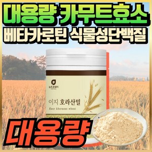 (옵션선택) 골드 카무트 효소 분말 스틱 카뮤트 카무드 카무스 / 에너데이 대용량 베타카로틴 호라산밀 분말 가루 식약청인증 100% 파바빈 식물성 단백질 곡물 효소 식이섬유, 1개, 280g