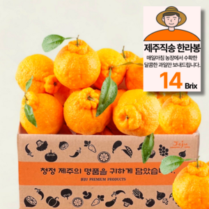 제주농원 14Bix 당도선별 한라봉 가정용, 1박스, 5kg(25과 내외)