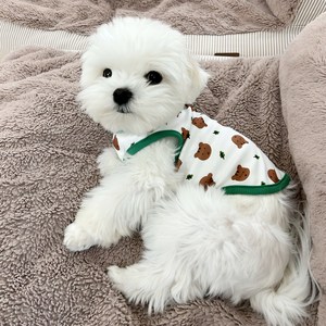 로커스 강아지 옷, 녹색, L, 1개