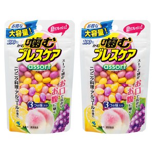 고바야시 깨물어먹는 브레스케어 어쏘트 100개입, 2개