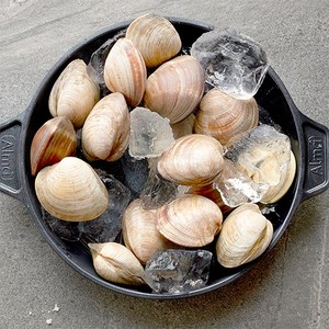 삼삼해물 제철 자연산 백상합 백생합 돌백합 조개백합 백합 조개 1kg 해감, 1개