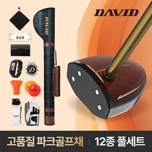데이비드 신형 파크골프 세트상품 DP101 파크골프채 가방 볼 + 사은품, 83cm 여성용 세트
