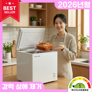 신영전자 소형 김치냉장고 저소음 1등급 뚜껑형 냉동고 겸용 자취방 원룸 1인가구 기숙사