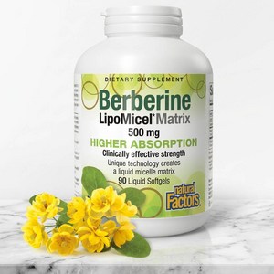 네추럴팩터스 베르베린 리포미셀 매트릭스 500mg 리퀴드 소프트젤, 90정, 1개