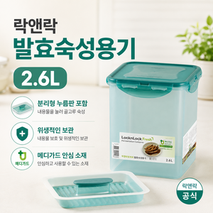 락앤락 발효숙성용기 HPI822BPS2, 2.6L, 2개