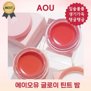 [정품] AOU 글로이 틴트밤 에이오유글로이틴트밤 에이오유사과밤 오디밤 립밤 에이오유, 02 홍시밤, 3.5g, 1개