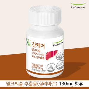 풀무원건강생활 간케어 밀크씨슬 추출물, 1개, 60정