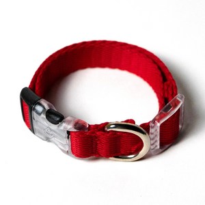 아띠지기 강아지 웨빙 목줄, 레드, M, 1개