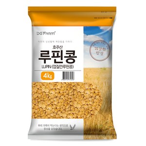 대구농산 건강한밥상 루핀콩, 4kg, 1개