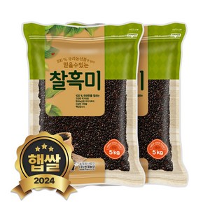 현대농산 국산 찰흑미 10kg (5kgx2봉), 2개, 5kg