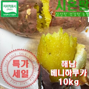 해남 베니하루카 못난이 꿀고구마 (세척), 1박스, 10kg 내외