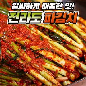 푸드지 파김치, 3kg, 1개