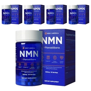로킷아메리카 NMN + 프테로스틸벤 500mg 캡슐, 60정, 5개
