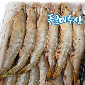 자연산 대하 1Kg 35미내외 왕새우 국내산 태안 안면도 신진도 산지직송 모임 여행 캠핑 선물, 1개