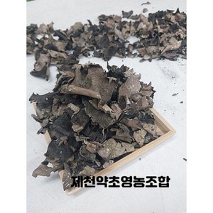 자연산석이버섯 ( 100g ) - 제천약초영농조합, 1개