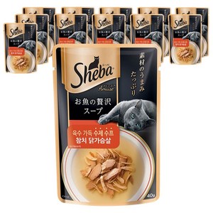 쉬바 1세 이상 고양이 수제 수프 간식, 혼합맛(참치/닭가슴..., 40g, 12개