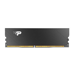 PATRIOT DDR5-6000 CL30 SIGNATURE PREMIUM EVO 블랙 파인인포 (16GB)