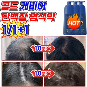 [흰머리 100% 커버] 골드 캐비어 단백질 염색약 쉽고 빠른 염색샴푸 염색제 거품 염색 버블 새치염색약, 2세트, 커피