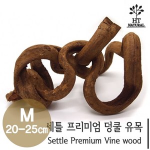 세틀 프리미엄 덩쿨 유목 M (20~25cm), 1개