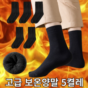 바라츠 데일리 무지 수면 보온 양말 5켤레