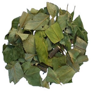 참가시나무 야생 특품 잎과 잔기지 300g/동의보감촌 지리산한방식품