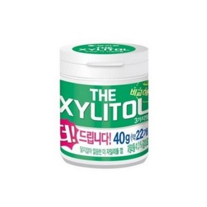 오리온 더자일리톨 츄잉껌, 40g, 1개