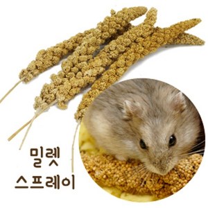 햄스터 간식 밀렛 스프레이 1p, 1개, 20g