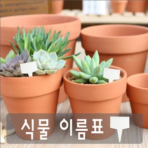 식물 이름표/식물 라벨/화분 이름표/팻말/푯말 20개