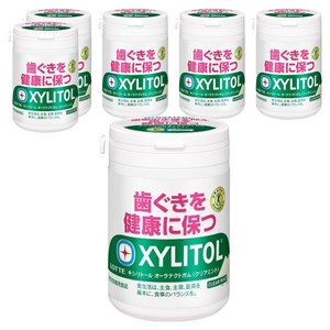 롯데자일리톨 오라테크 껌 슬림 보틀 클리어 민트, 138g, 6개