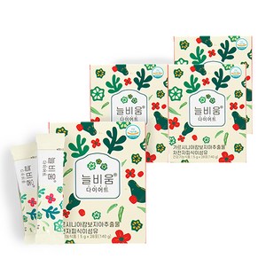 씨스팡 늘비움 다이어트 식품, 140g, 4개