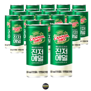 [무료배송]캐나다드라이 진저에일250ml 30개, 250ml