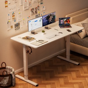 Homall 모션데스크 PE-01 전동 높이조절 스탠딩 책상 공부 사무 게임용 조절 스탠드 테이블