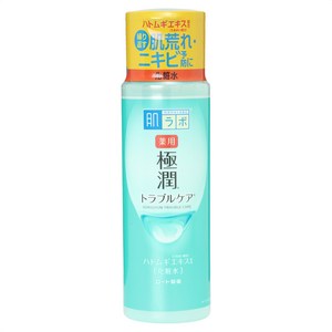 하다라보 고쿠쥰 스킨 컨디셔너 화장수, 170ml, 1개