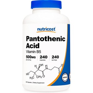 뉴트리코스트 판토세닉 애시드 비타민 B5 500mg 캡슐, 240정, 1개