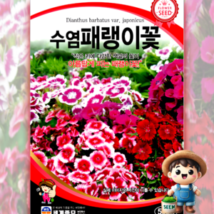 수염패랭이꽃 500립 원예 관상 조경 화단 용 꽃 씨 씨앗 종자 세계종묘