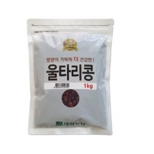 대한농산 울타리콩, 1kg, 1개