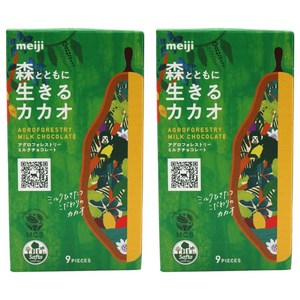 메이지 숲과 함께 살아가는 카카오 9개입, 40g, 2개