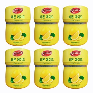 레몬에이드 파우더 리치스 550g 업소용 레몬분말 가루, 6개, 6개, 1개입