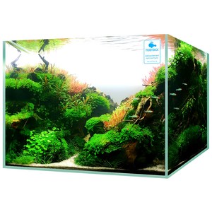 모비딕 유리 어항, 35 x 22 x ..., 1개