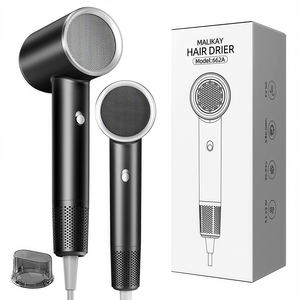 ROOICE 헤어드라이기 블루음이온 전문가용 드라이어 1800W