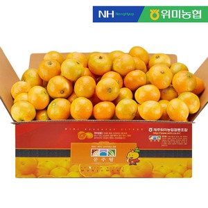 [위미농협] 문주왕 당도선별 농협 제주 조생 감귤, 5kg