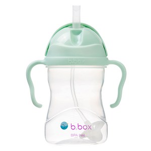 비박스 그래비티 빨대 물병, 젤라또 그린, 240ml, 1개