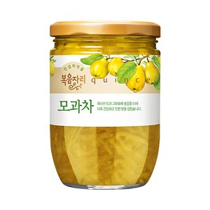복음자리 모과차