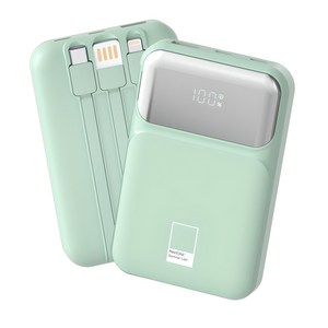 팬톤 PD 22.5W 초고속충전 대용량 케이블 일체형 미러 보조배터리 10000mAh PGB-20, Summe Leaf