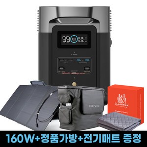 [160W 태양광패널+전기매트+정품가방증정] 올인원 에코플로우 델타2 220V 12V 1024Wh 리튬인산철 파워뱅크, 1개