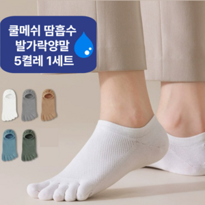 [5켤레 1세트] 남성 숨쉬는 통풍 쿨 메쉬 발가락 양말 단목 발목 덧신 안벗겨지는 스니커즈 여름용 면