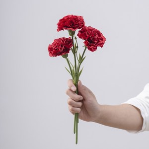 카네이션조화 어버이날 스승의날 성묘 꽃다발 인테리어 소품 조화꽃, 2송이, 레드