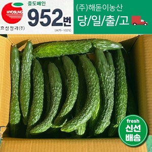 해돋이농산 국내산 오이 가시오이 청오이 못난이오이 3kg 5kg 10kg, 1개